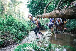 BIB: 
                            <button type="button" onclick="openModal(25466003)" class="btn btn-primary btn-sm float-right btn-popup" data-toggle="modal" data-target=".modal-high-quality">
                        <i class="fas fa-shopping-cart"></i> Add to Cart
                    </button>
                                            <button type="button" onclick="isThisMe(25466003, true)" class="btn btn-success btn-sm float-right btn-popup btn-isme hidden" data-toggle="tooltip" data-placement="bottom" title="นี่คือรูปของคุณใช่ไหม คลิกที่นี่เพื่อเอาเข้าอัลบั้ม">
                        <i class="fas fa-plus"></i> Add to album
                    </button>
                    <button type="button" onclick="isThisMe(25466003, false)" class="btn btn-warning btn-sm float-right btn-popup btn-isnotme hidden">
                        <i class="fas fa-ban"></i> Remove from album
                    </button>